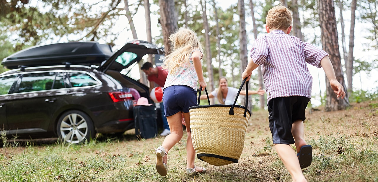 picknick familie met auto
